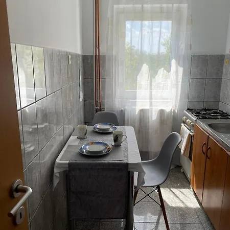 Gray For Couples Apartment Timisoara