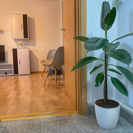Gray For Couples Apartment Timisoara