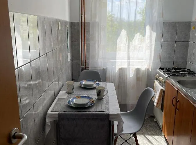 Gray For Couples Apartment Timişoara