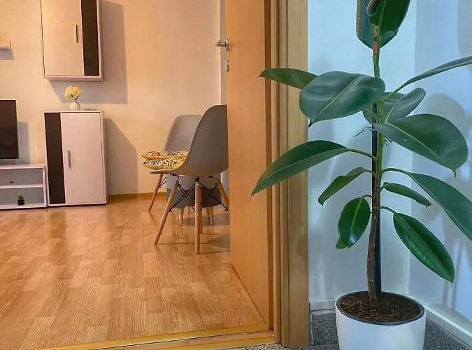 Gray For Couples Apartment Timişoara